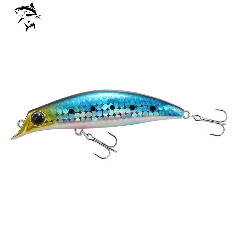 Fishing Equipment Brands - Brand Japan Design Hard Bait Salt